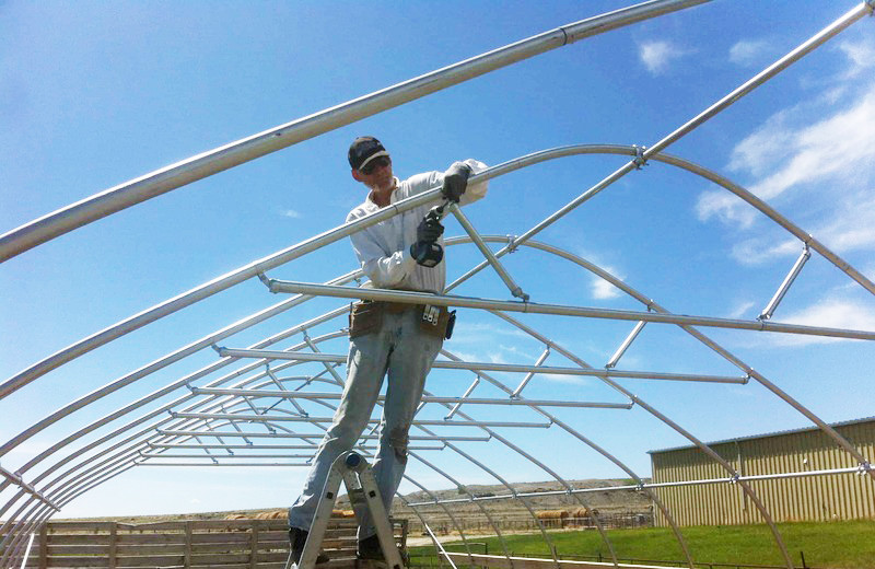 Cheap Tomato Agricultural Plastic Film Cover Low Cost Economic Tunnel Greenhouse For Vegetable