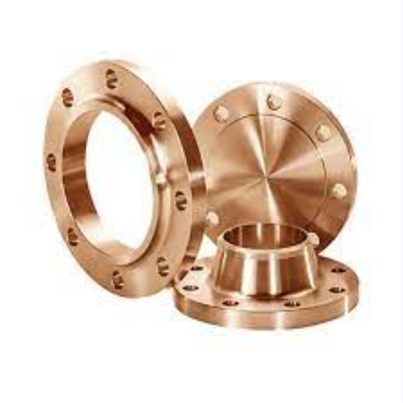 Copper Nickel Class 300 3 4 5 6 Inch RF RTJ ASTM Forged TH WN so BL Cuni C70600 Flanges