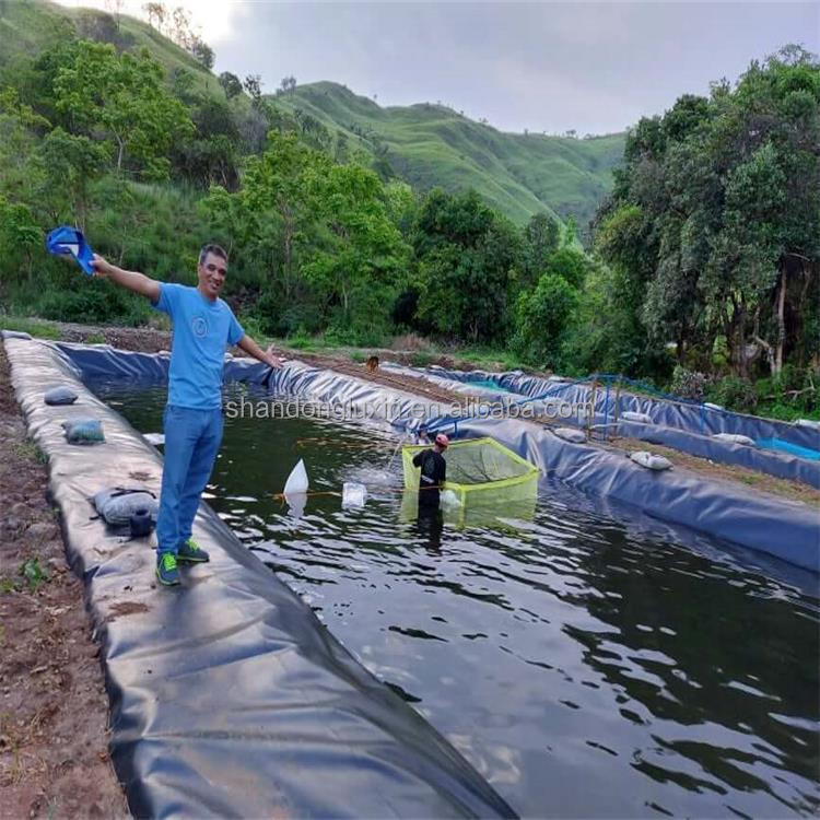1.5mm HDPE Geomembrane Liner Cost Sheet for Waterproofing Project Solution Capability