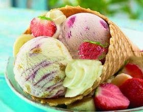 Electro Freeze Table Soft Ice Cream Machine Sancks Made Easy