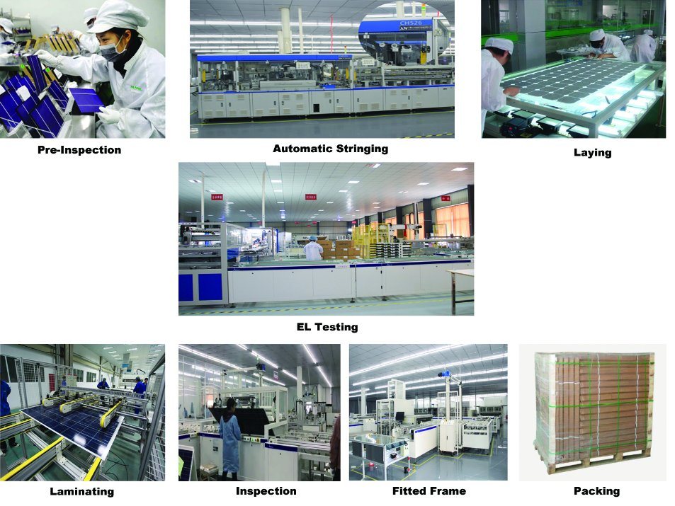 310W Poly PV Solar Panel for Solar Power System