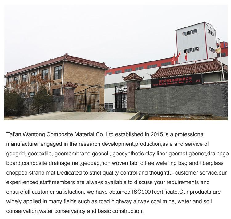 Chinese Design Style High Tensile Strength Fiberglass Geogrid for Road Construction