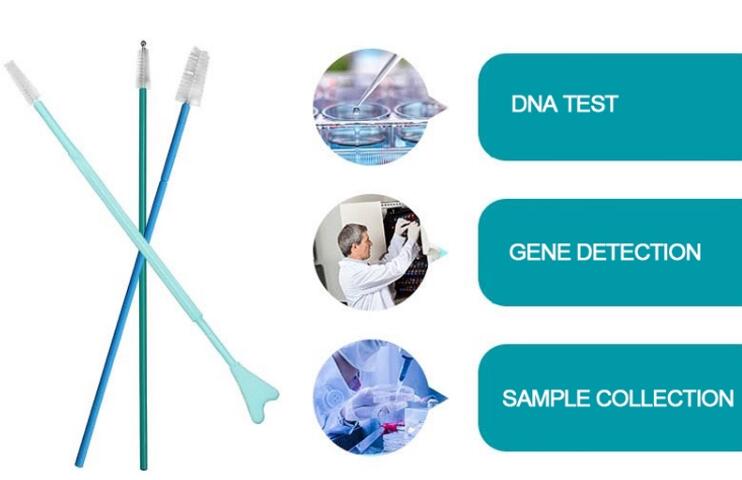 Nylon Floss PP Rod Rapid Test Nose Swab With 80mm Break Point