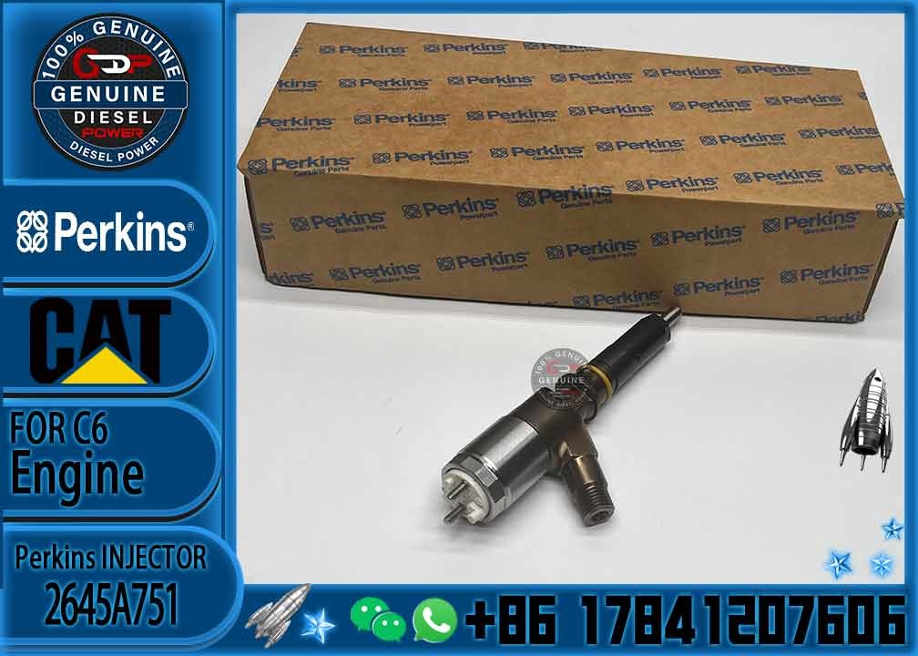 High Quality Professional Densos Gasoline Car Fuel Common Rail Diesel Electric Fuel Injector Assy 2645A751 2645A746 2645