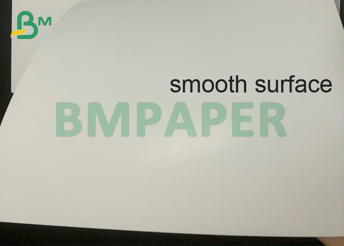 18pt 24pt C1S Cover Whtie Top White Back Board SBS Board Roll   