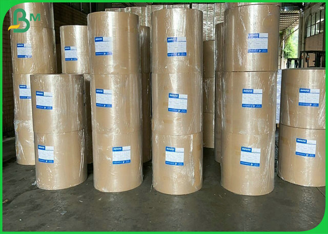 12PT 14PT 16PT Varnishable Cardboard White / White For Pharmaceutical Uses