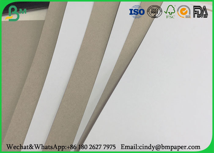 700 * 1000mm Grey Back Duplex Board , 300gsm 350gsm Coated Duplex Paper Board