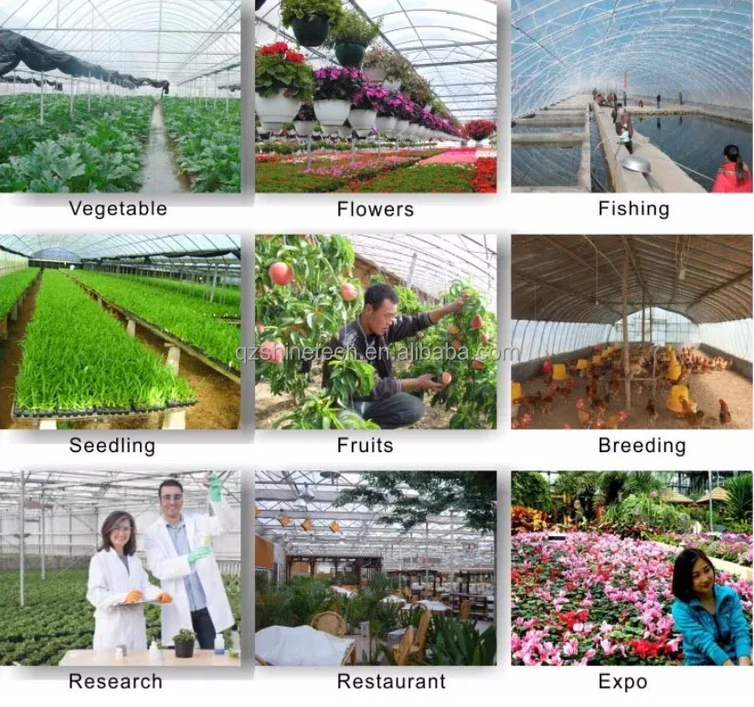 Hot Dip Galvanized Steel Tube Frame Multi Span Agricultural Greenhouse