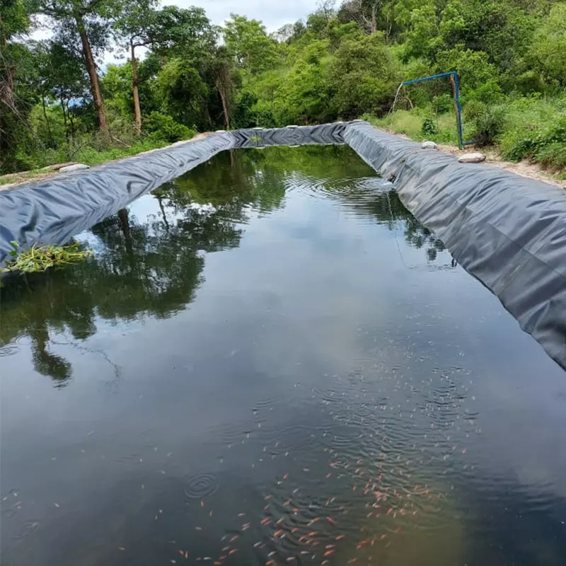 1mm 1.5mm 2mm HDPE Geomembrane Welding Machine Designed for Aquaculture Farming Needs