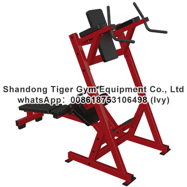 Gym Fitness Equipment Abdominal Work Station