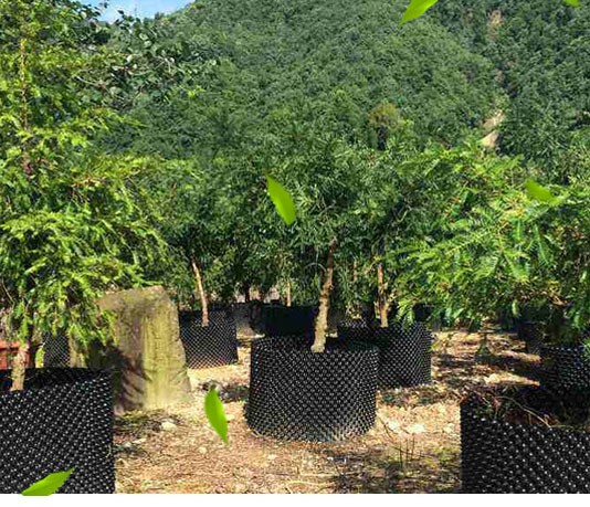 protect the root of the plants effectively of the air root pruning container