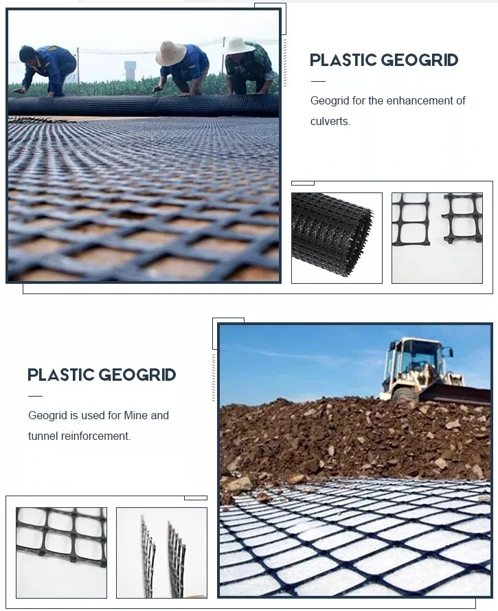 High Quality Biaxial Uniaxial Geogrid Prices HDPE PP