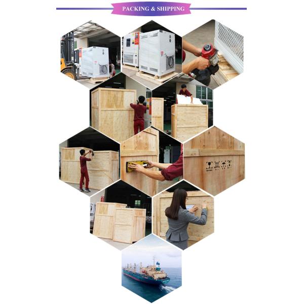 High Altitude Low Air Pressure Test Machine Altitude Simulation Chamber