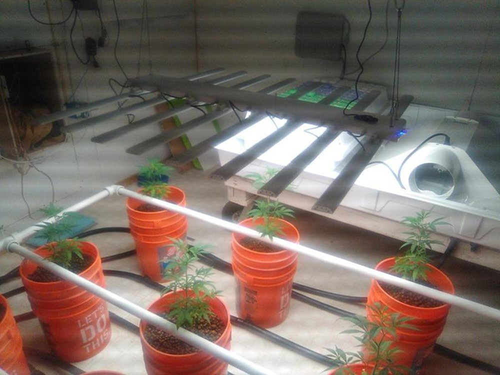 Wireless Control 360W LED Grow Lights With Timer 2.7μMol/J 48VDC Output
