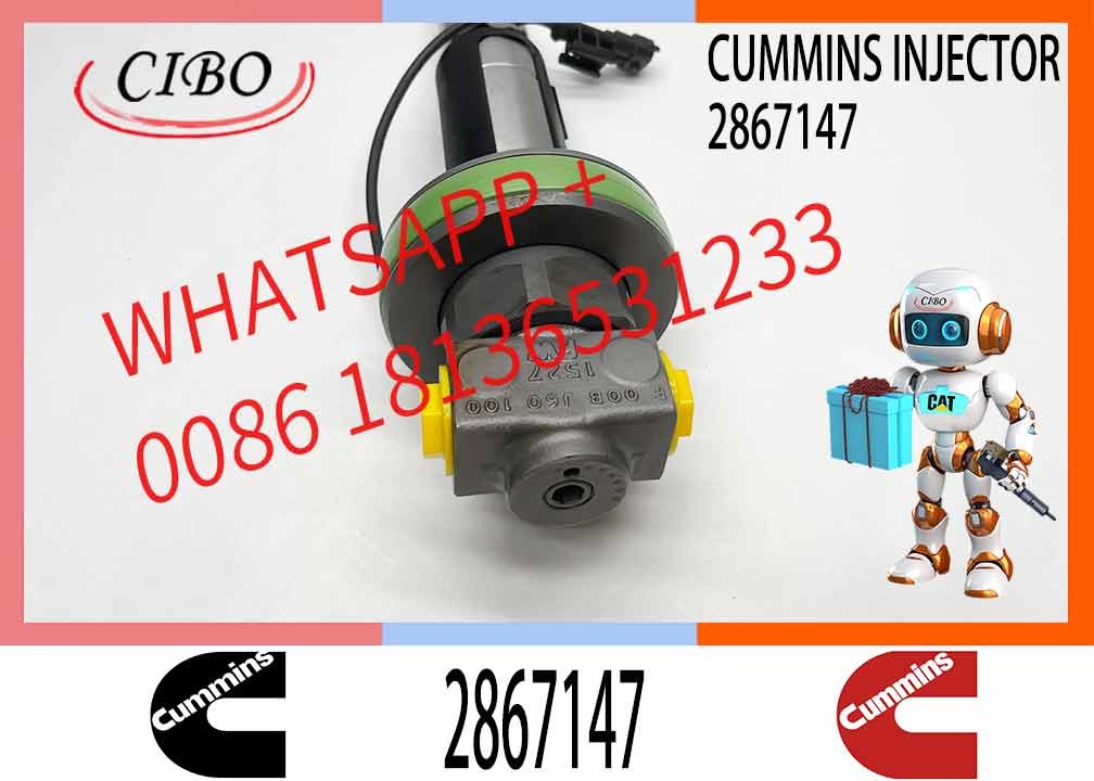 Fuel Injector Assembly Y431K05417 F00L0J019 4964172 2867147 2882077 For Qsk19 Engine