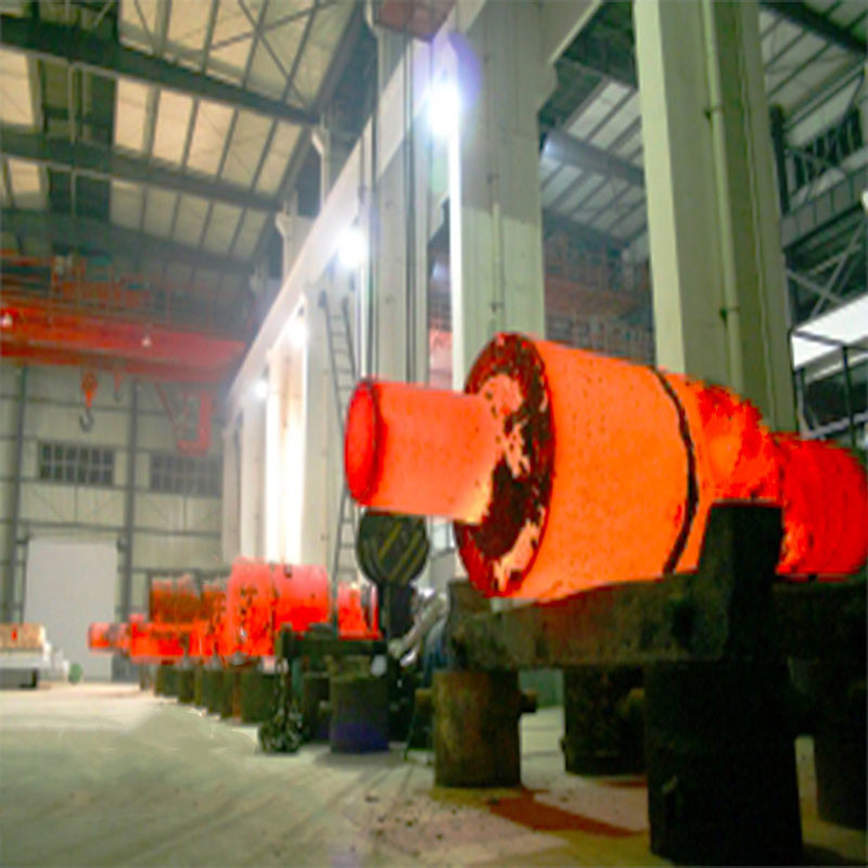 Roller Forging 304 Stainless Steel Alloy Steel CNC Precision Machine 310