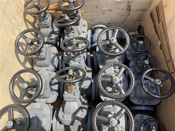 Port Size DN50 Weight 22.5kg JIS F7363 5K Rising Stem Marine Gate Valve