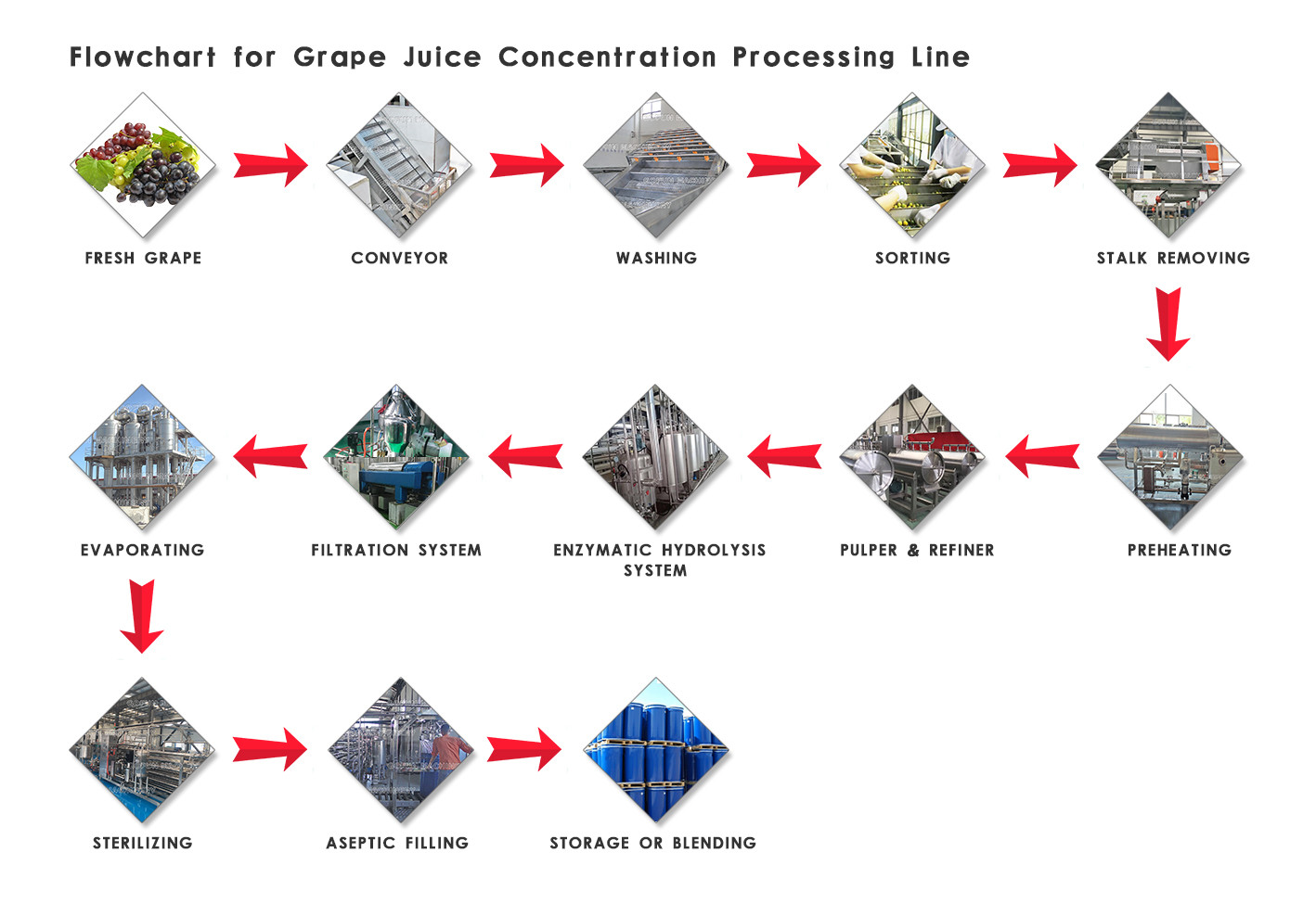 Industrial Grape Flavored Beverage Production Line For Grape Processing Plants