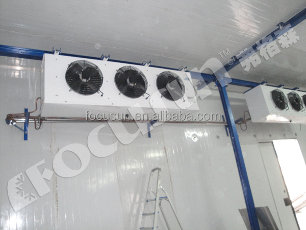 Garment Shops Solar Cold Storage with 20KVA Generador and Durable Design