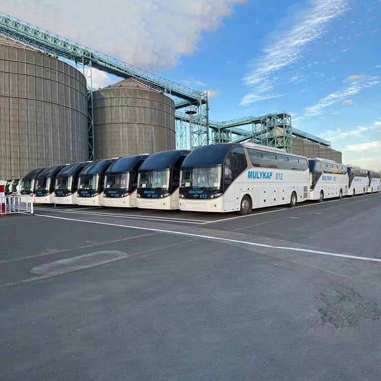 NVOCC From Ningbo International Logistics Company Freight Forwarder International