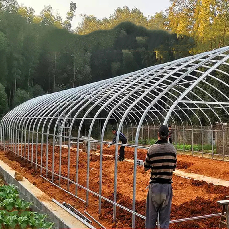 Agricultural Plastic Film Covering Shed Single Span 8m Width Polyethylene Film Greenhouse