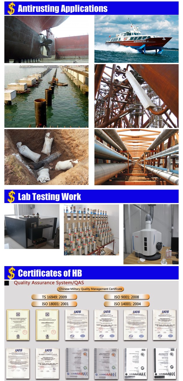 application+test+certificat.jpg