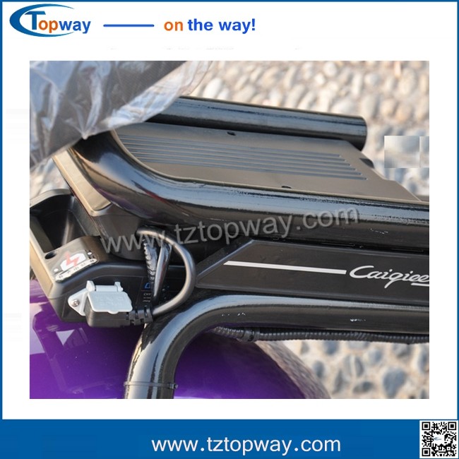 citycoco/seev/woqu 1000w with battery can be removed 18*9.5inch big tyre
