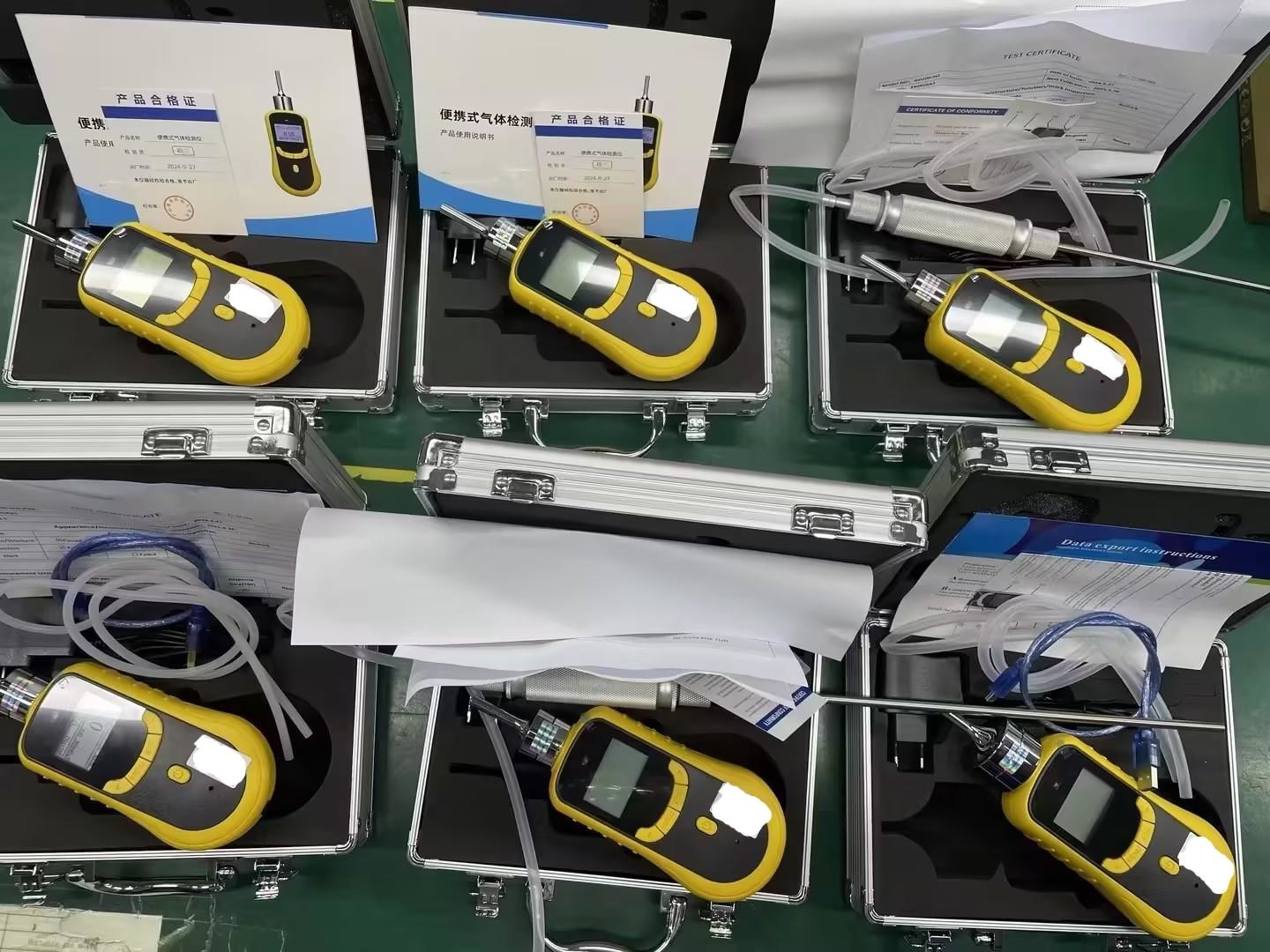 Safegas Portable Muiti Gas Detector PH3 and CH3Br Gas Detector For Fumigation Industry Adopt Imported Gas Sensors