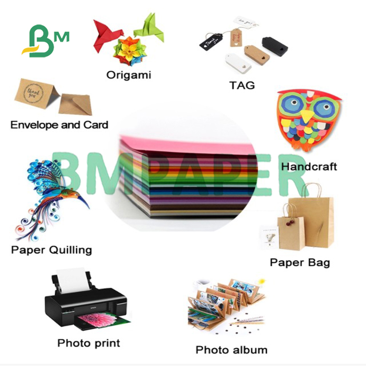 Bristol Paper Board
