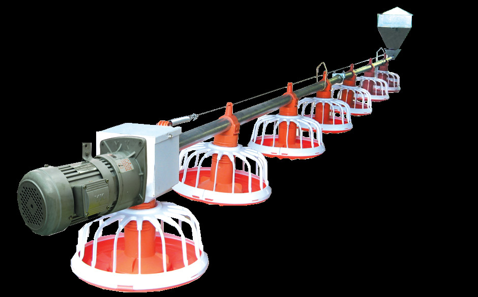Broiler Poultry Feeding Equipment For Chicken House