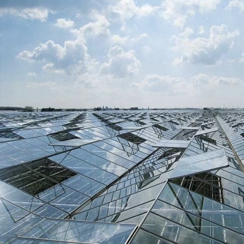 Venlo Style Glass Agricultural Greenhouse with Automatic Control System