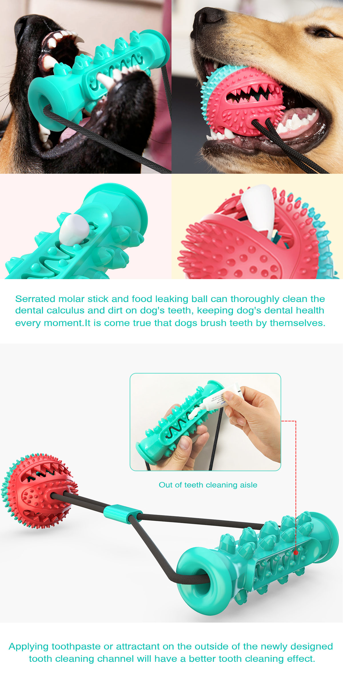 TPR OEM Dog Tug Of War Toy Suction Cup
