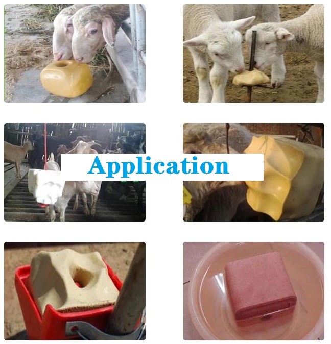 CNC Control Salt Block Press Machine Mineral Salt Block Tablet Pressing Vitaminized Salt Licking Block Tablet Press