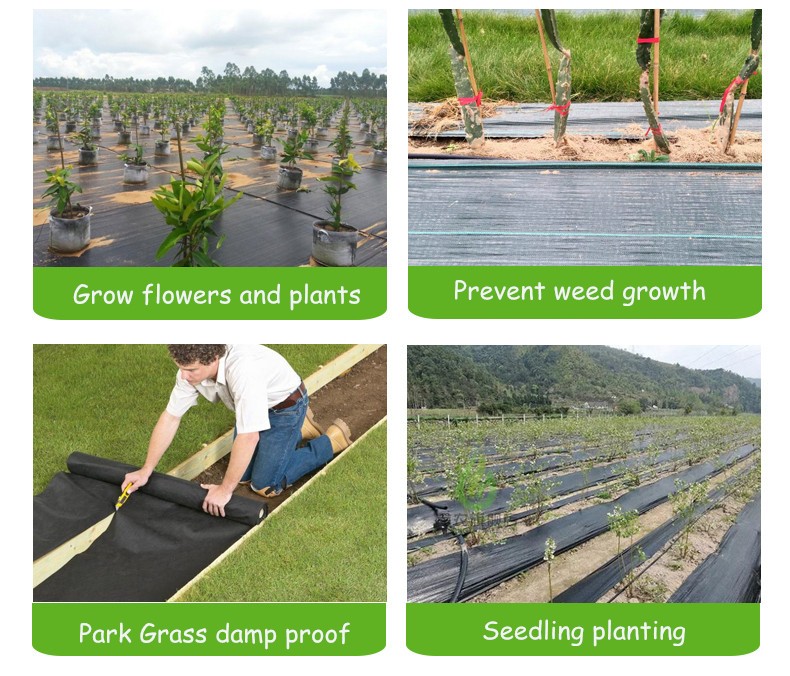 Anti Grass 20ft HDPE Plastic Weed Mat 3.2oz Weed Barrier Ground Cover