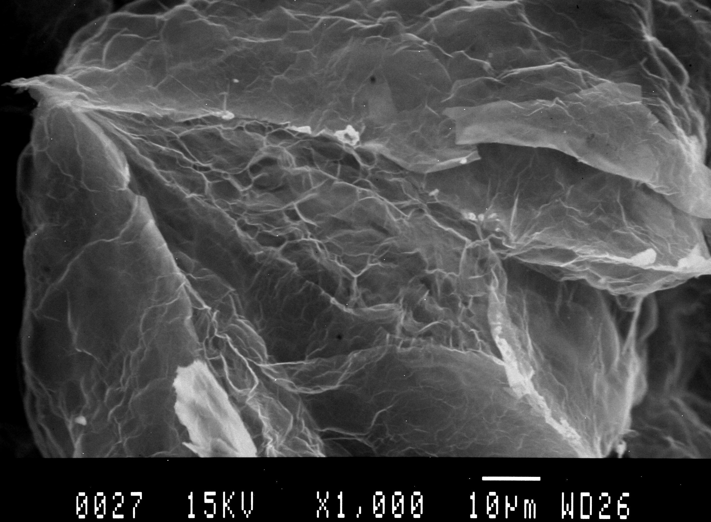 9950200 Expandable Graphite Flake Powder With Excellent Flame Retardancy