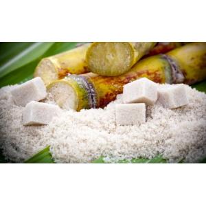 Fundamental Concepts Of Food Industry Drying Process Custom Standard