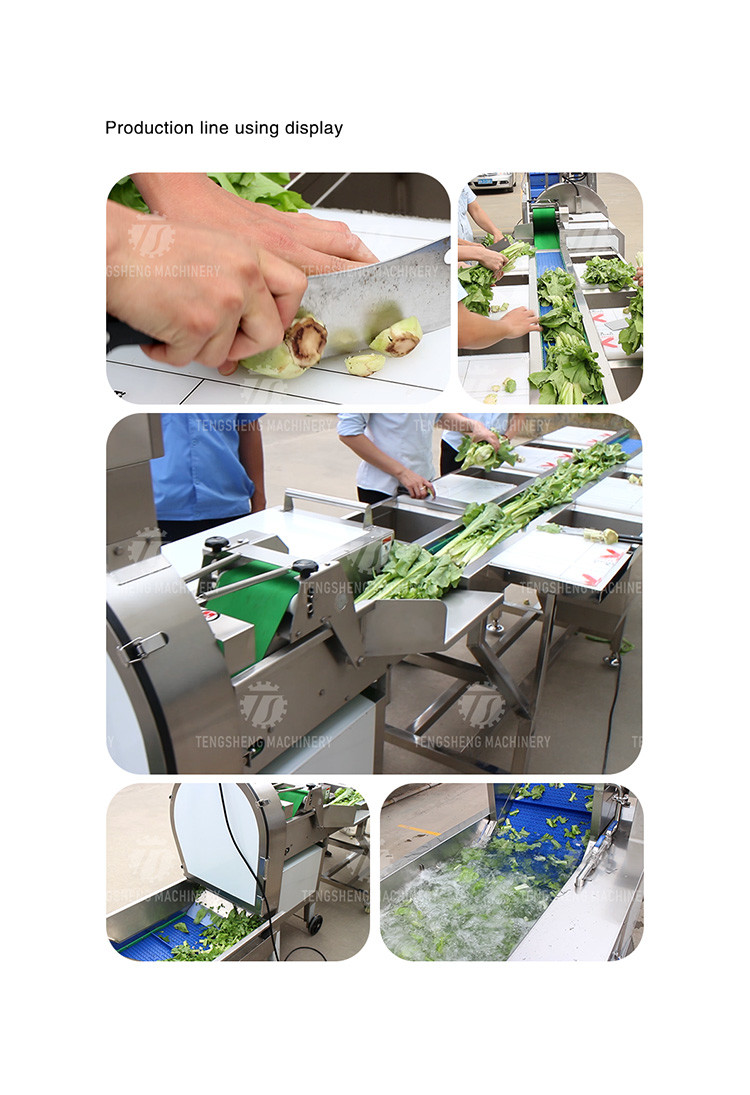 Automatic Vegetable And Fruit Production Line Selection Cutting And Washing Machine