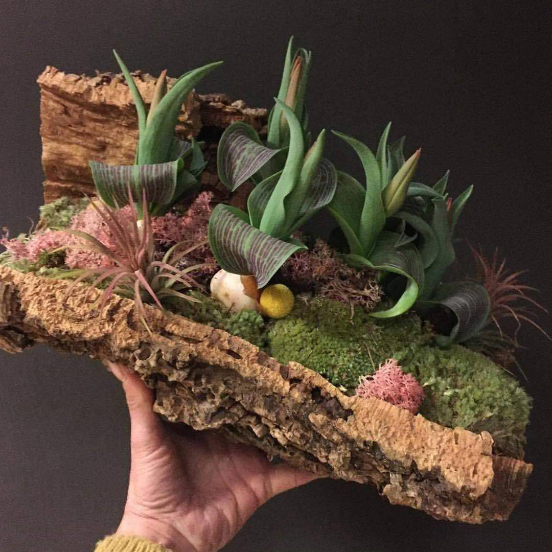 BSCI Natural Color Rough Large Cork Planters Eco Friendly Lightweight