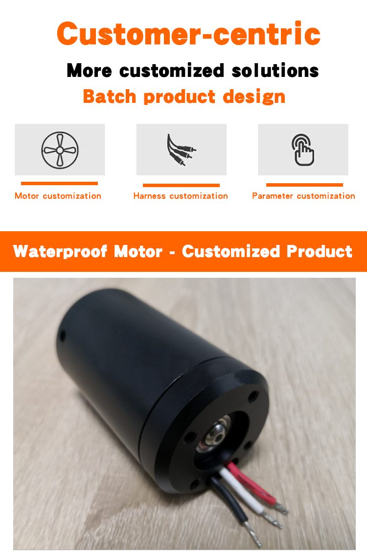 Brushless Dc Motor Faradyi Waterproof Low Power 24V 3300rpm Customized Brush Permanent Magnet Holder Hp Waterproof Motor IE 1