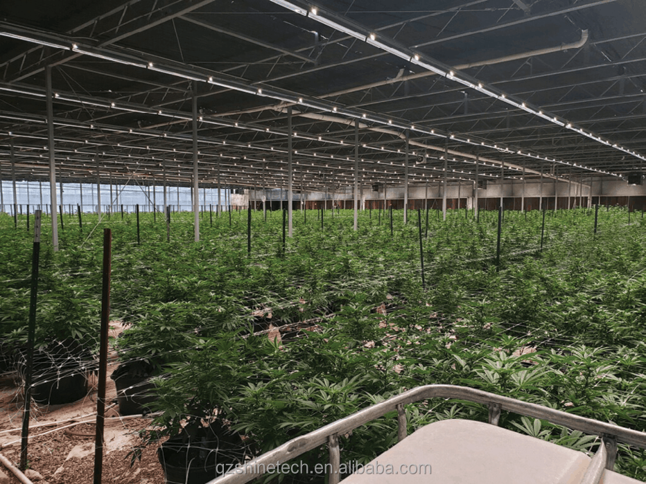 8m-12m Span Width Fully Automated Blackout Greenhouse For Superior Agriculture