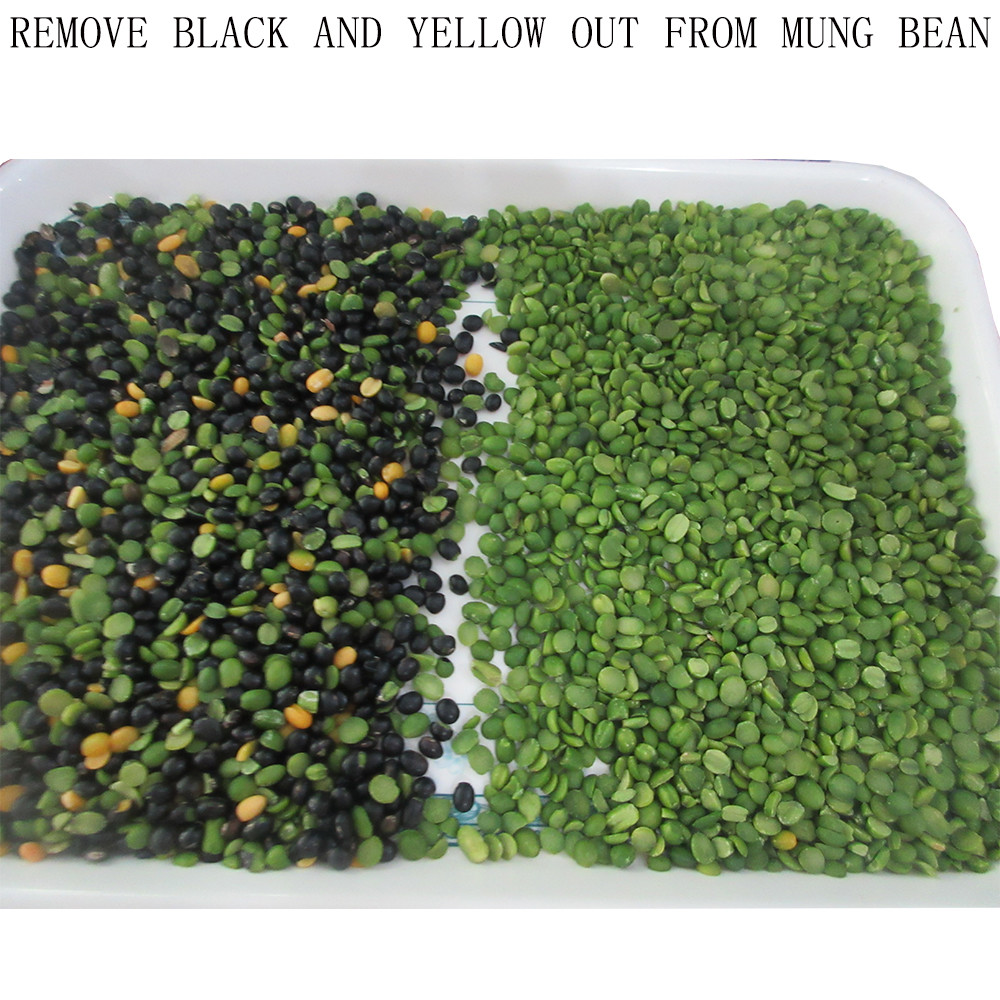 CHina Factory Wholesale Mini Red Beans Color Sorter Machine 1 Ton Per Day