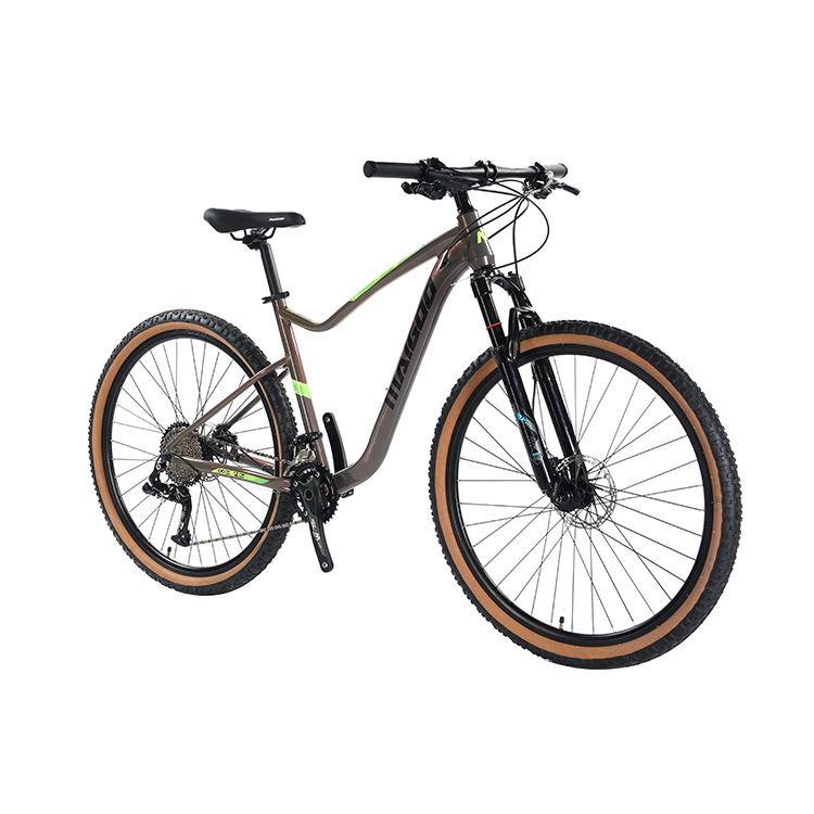 22 Speed Hydraulic Disc Brake Mountain Bike for 29er Aluminum Material and Construction
