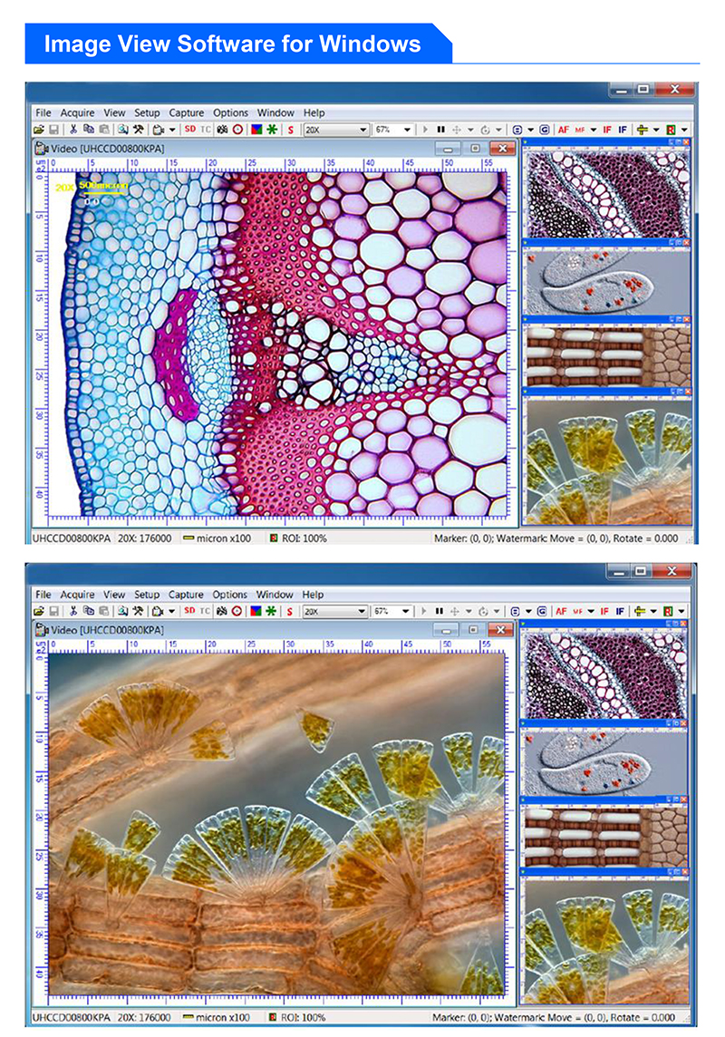 OPTO EDU A59.2205 Microscope Accessories for Imaging and Precision Analysis in Scientific Research and Industrial