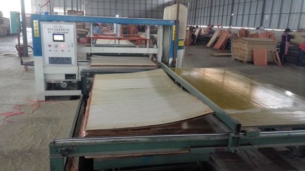 Construction WBP 1220*2440mm Film Faced Shuttering Plywood