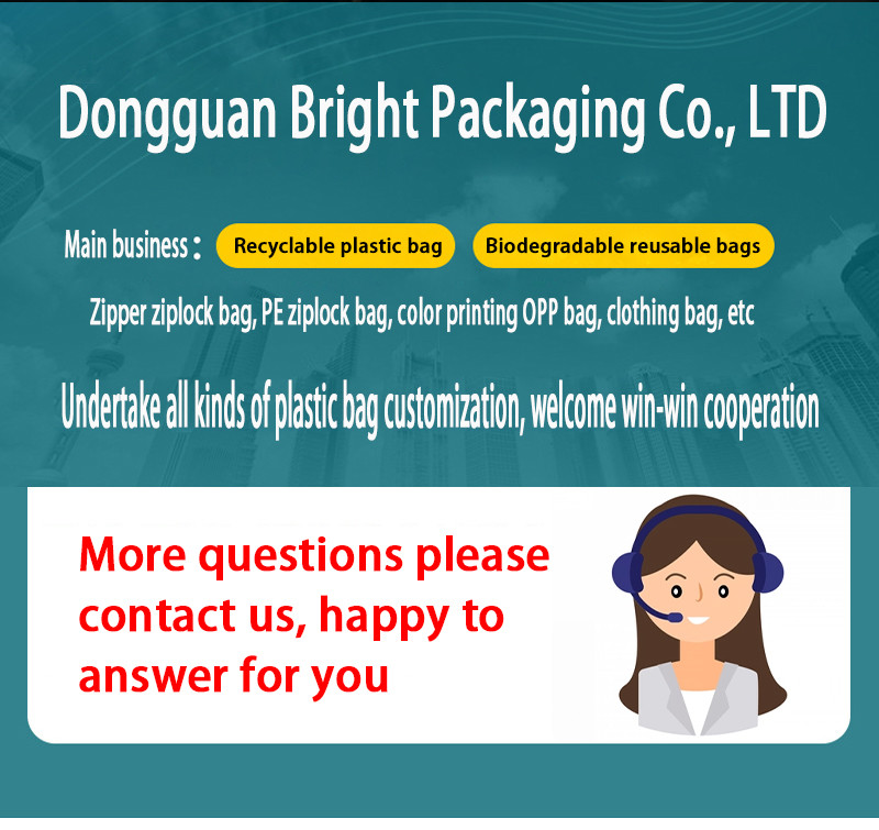Recyclable Eco-Friendly Food Packaging Bags Self-Standing Zipper Bags Custom Printed Environmentally Friendly Bags