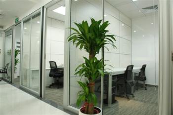 Shenzhen Okystar Technology Co., Ltd.