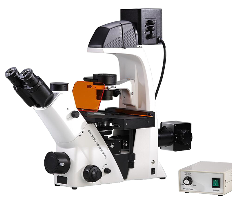 Inverted Fluorescence Led Digital Microscope