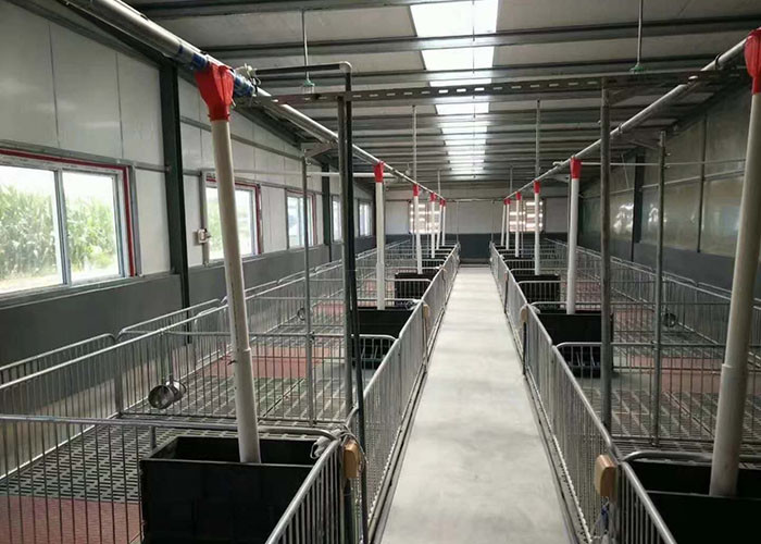 Weaned Piglet Nursery Crate 2.4*1.8*0.7m Piggery Tools And Equipments
