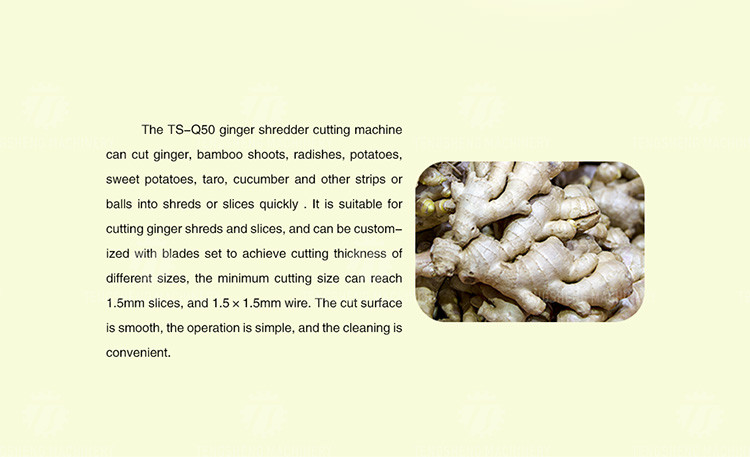 100KG/H Vertical Ginger Plantain Cutting Machine Multifunctional