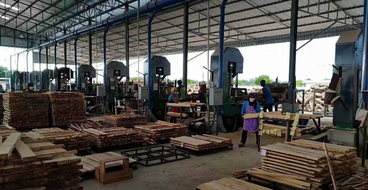 Vertical band sawmill with CNC carriage automatic wood cutting machine